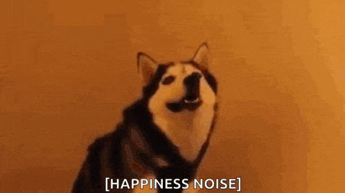 Plsdontusethistaganywhereelseitswaytolong GIF
