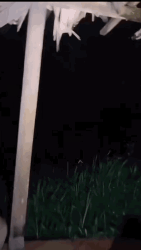 Pocong Horror GIF. This 281 x 498 animated GIF is part of our hantu collection. Related themes include discord. Created by p0psicko. View the original…
