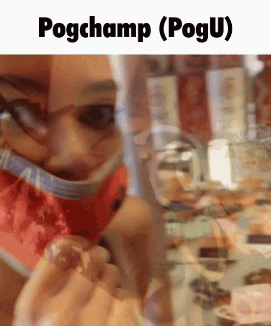 Pogchamp Pogu GIF