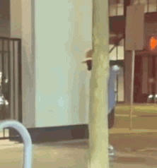 Point Pointing Finger GIF. This 222 x 238 animated GIF is part of our hype man collection. Related themes include hype, that. Created by DemeilJacobs. View…