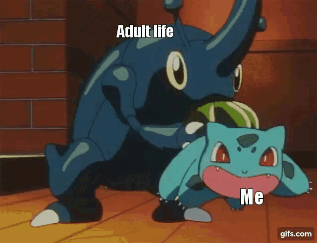 Pokemon Adult GIF