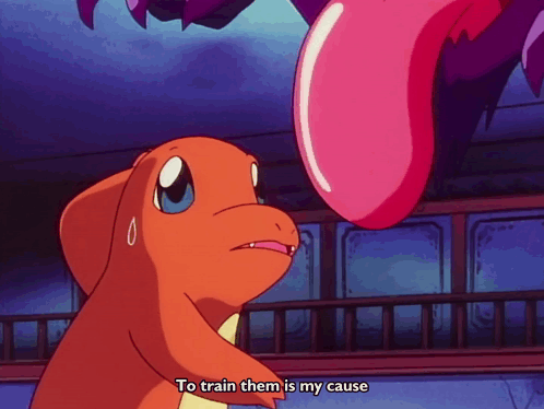 Pokemon Anime GIF