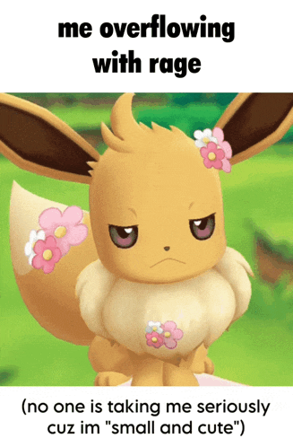 Pokemon Funny GIF