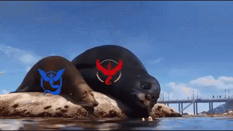 Pokemon Go GIF