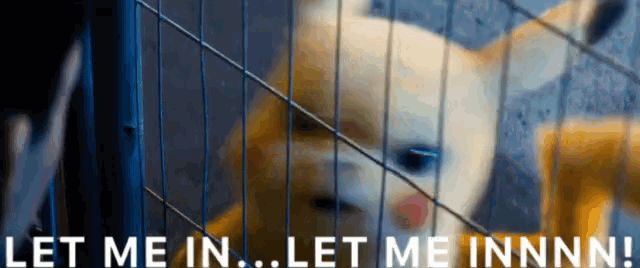 Pokemon Pikachu GIF