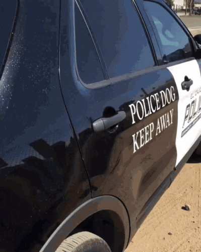 Police Dog Cute GIF