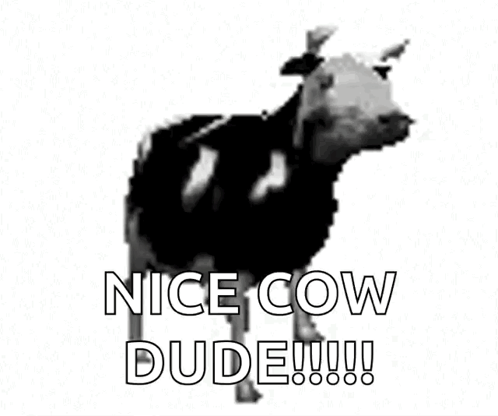Polish Cow Cow GIF