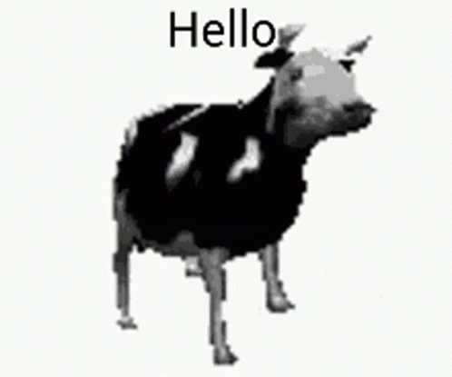 Polish Cow Meme GIF