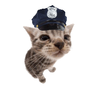 Politia Sticker