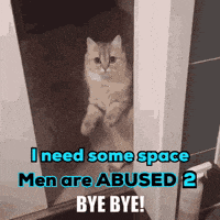 Politics Political GIF