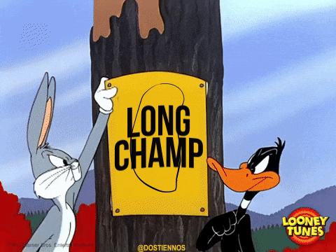 Polygone Longchamp GIF