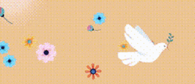 Pombo Da Paz Pigeon GIF