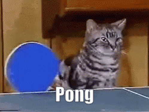 Pong GIF
