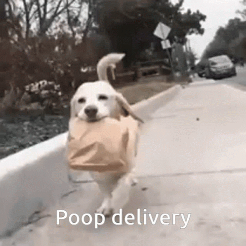 Poop Delivery Poop GIF
