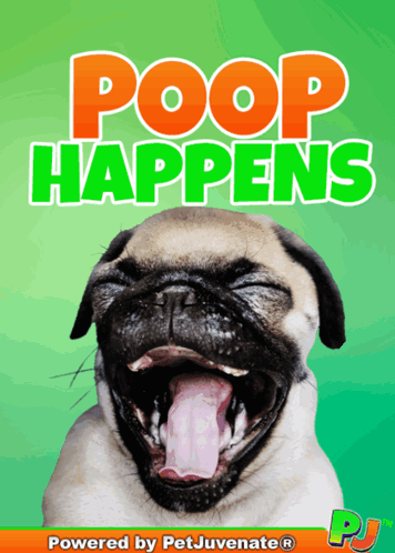 Poop Happens Boop Bork Blep Boof And Hound Dog GIF