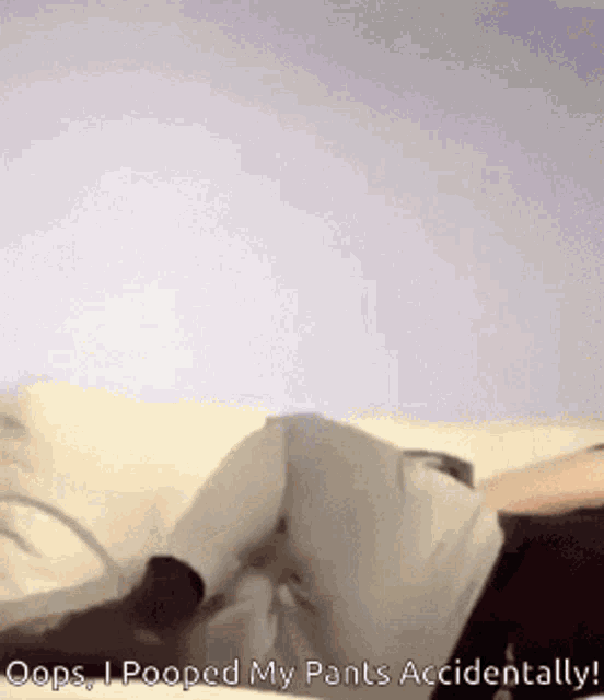 Poop In Pants Funny Accident GIF
