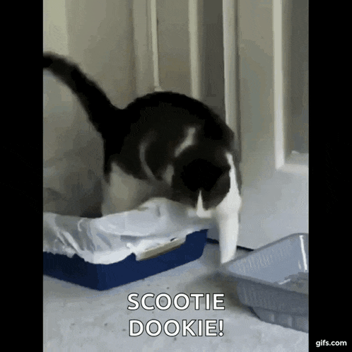 Poop Lolol GIF