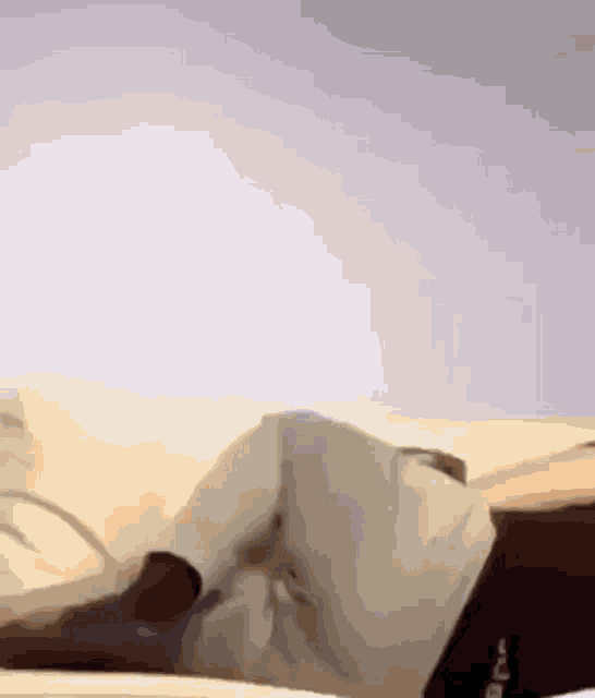 Poop Pants GIF