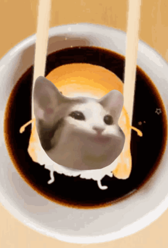 Popcat Popcatsolana GIF