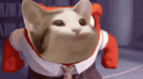 Popcat Popcatsolana GIF