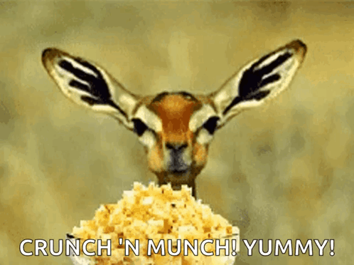 Popcorn Burn GIF