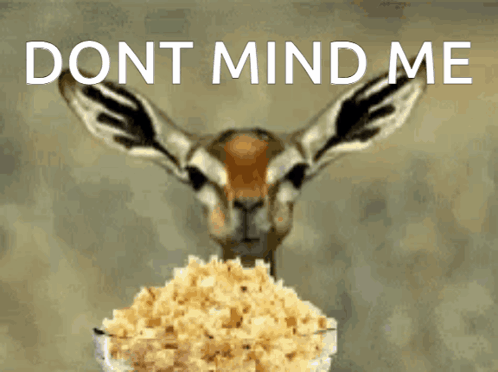 Popcorn Popcorn Eating GIF