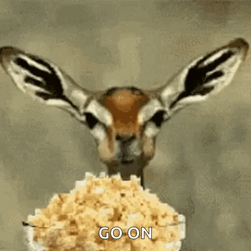 Popcorn GIF. This 498 x 498 animated GIF is part of our get your popcorn ready collection. Related themes include popcorn. Created by NAJJ24. View the…