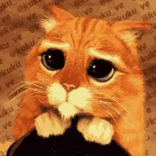 Por Favor Please GIF
