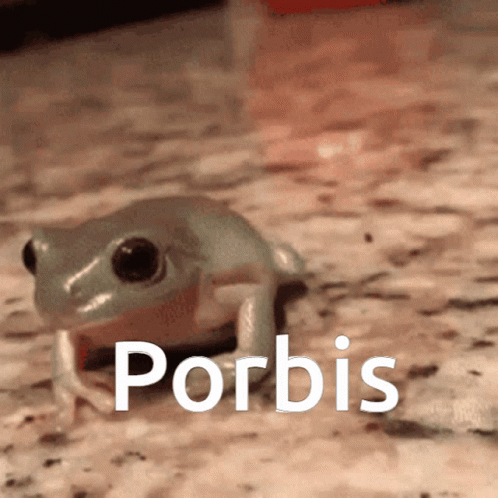Porbis Frog GIF. This 498 x 498 animated GIF is part of our mlg rainbow frog collection. Related themes include frog. Created by sackling. View the original…