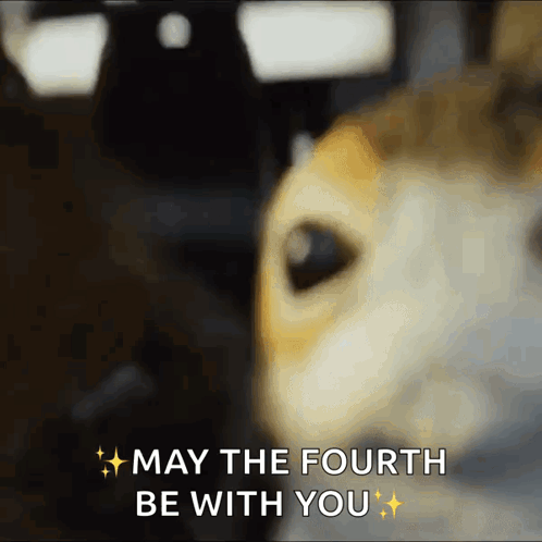 Porg Lit GIF