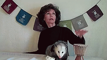 Possum Drums GIF