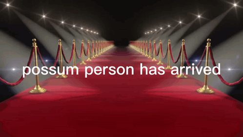 Possum Person Red Carpet GIF