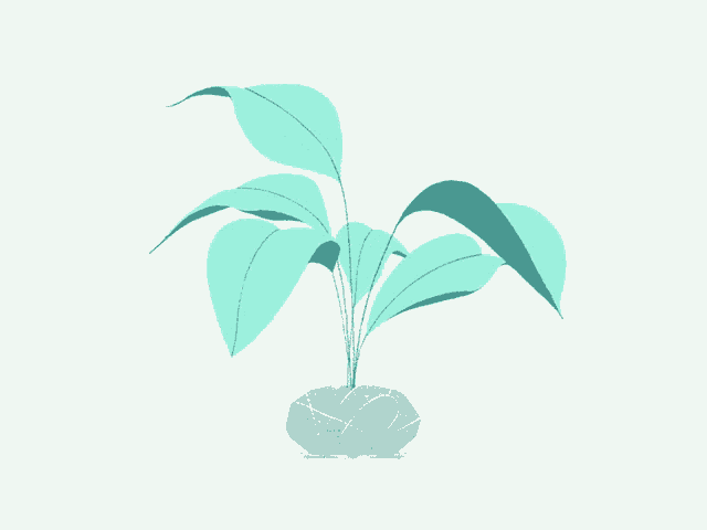 Pots Greens GIF