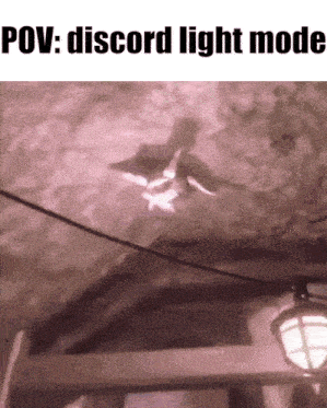 Pov Discord GIF