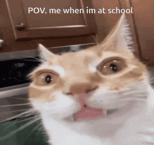 Pov Pov Me When Im At School GIF