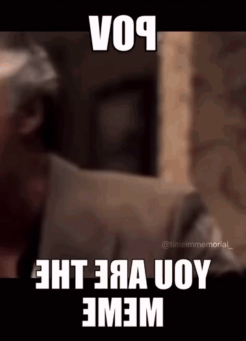 Pov You Are The Meme GIF