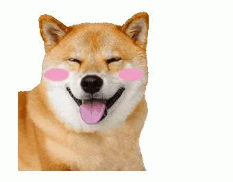 Ppkk07 Doggo GIF. This 340 x 266 animated GIF is part of our shiba inu smile collection. Related themes include cute. Created by cali7. View the original…