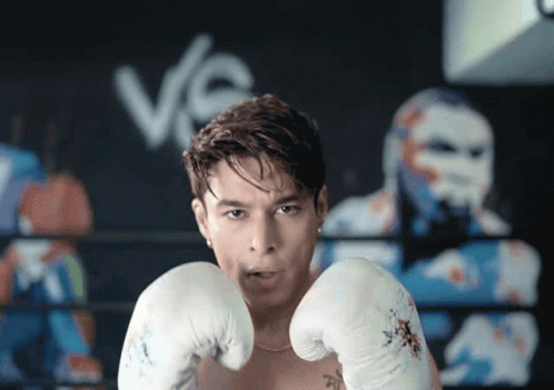 Prats Fight GIF