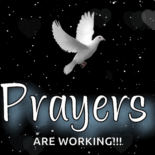 Praying For You Prayer GIF