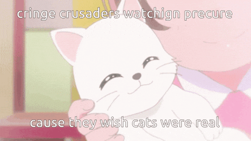 Precure Cringe Crusaders GIF
