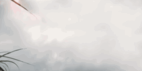 Predator Badlands 2025 GIF