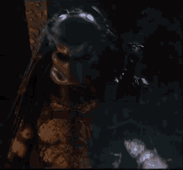 Predator GIF