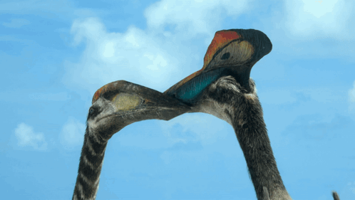 Prehistoric Planet Season 2 GIF