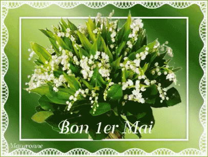 Premier Mai GIF