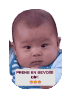 Prenskmk Prenskur Sticker