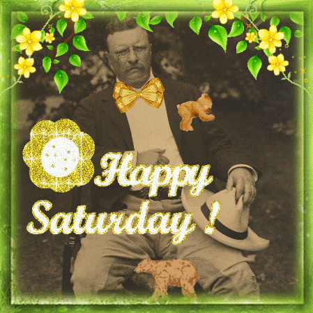 Prestwt Roosevelt GIF