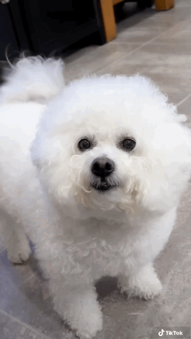 Pretty Eyes Love It GIF. This 270 x 480 animated GIF is part of our too precious for this world collection. Related themes include cute, hello, love you…