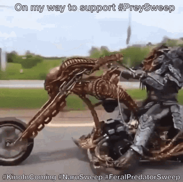 Prey Predator GIF