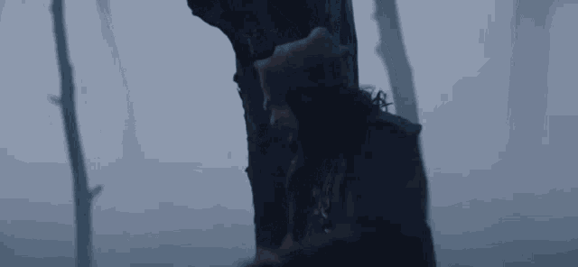 Prey Predator GIF