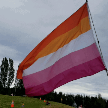 Pride Pride Flag GIF. This 360 x 360 animated GIF is part of our lesbian collection. Created by redbeardace. View the original animation, share it, or…